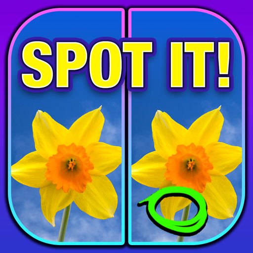 What’s the Difference? Spot It